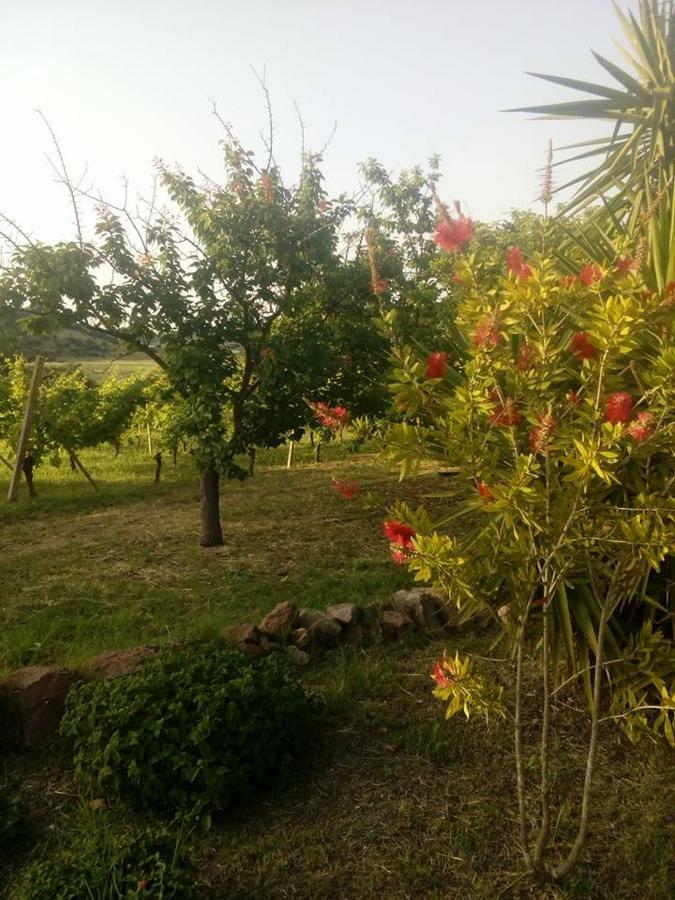 알게로 Residenza Agrituristica Santa Lucia Con Piscina 아파트 외부 사진